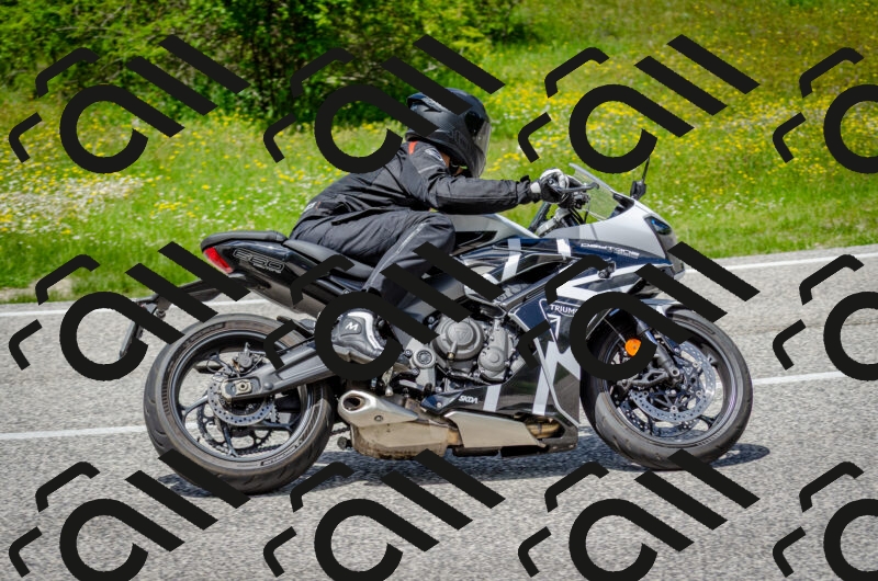 202506011340-DSC_5235_c2