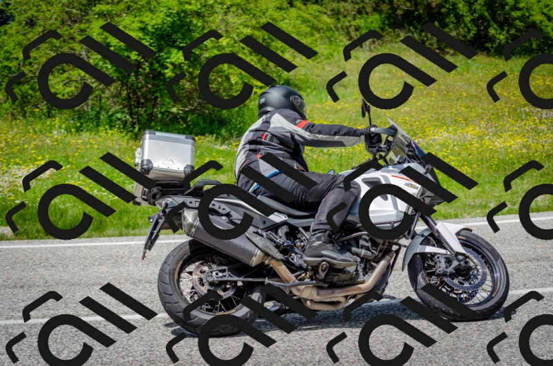 202506011340-DSC_5245_c2