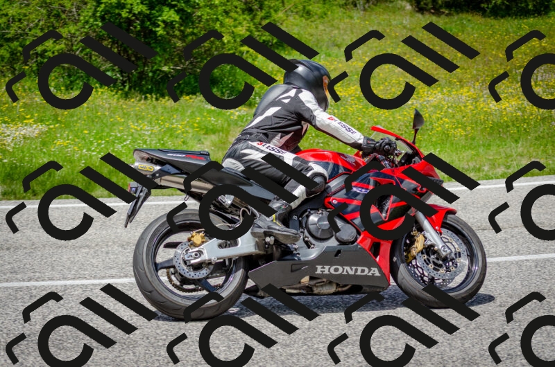 202506011341-DSC_5249_c2