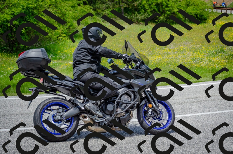 202506011341-DSC_5251_c2