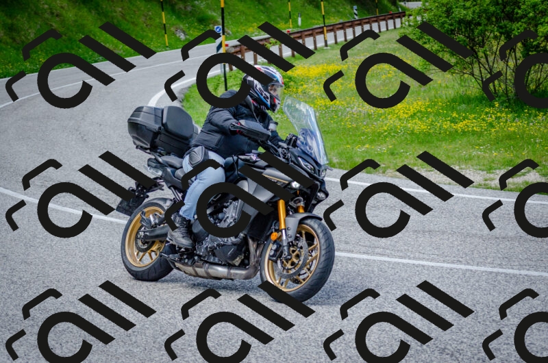 202506011342-DSC_5252_c2