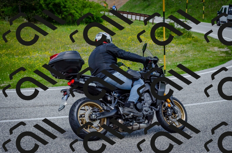 202506011342-DSC_5253_c2