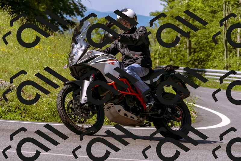 202506011033_DSC6266_d1_