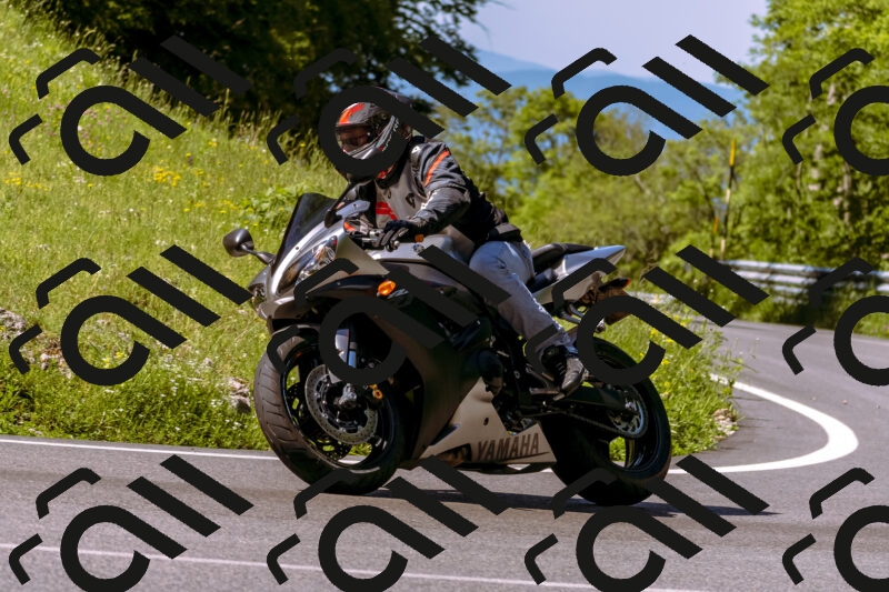 202506011033_DSC6269_d1_