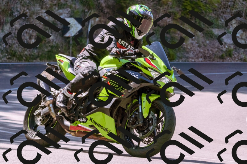 202506011040_DSC6298_d1_