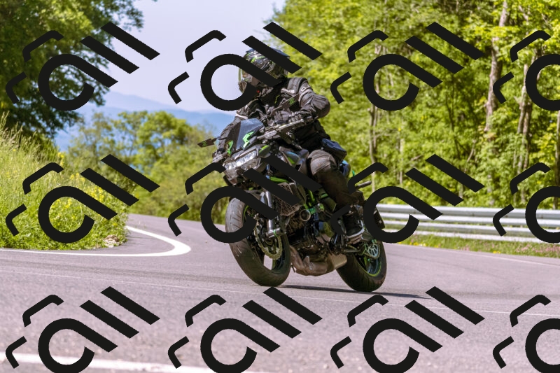 202506011045_DSC6302_d1_