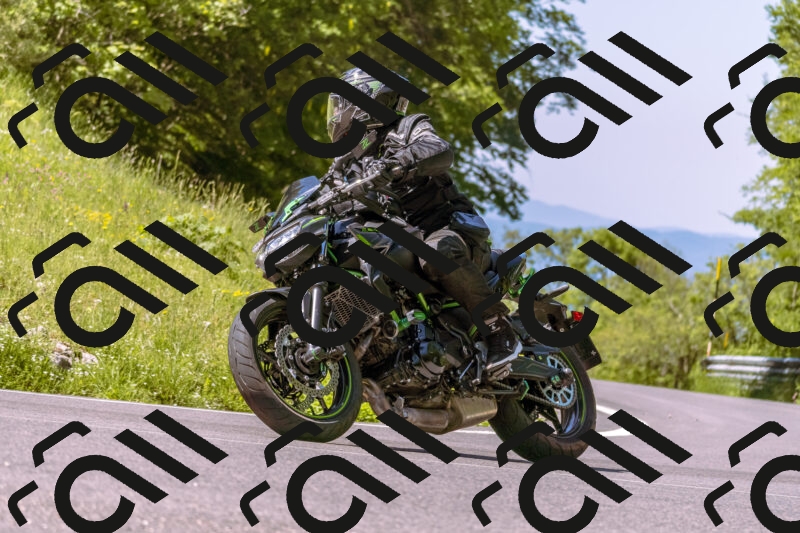 202506011045_DSC6303_d1_