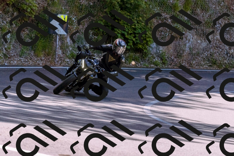 202506011046_DSC6314_d1_