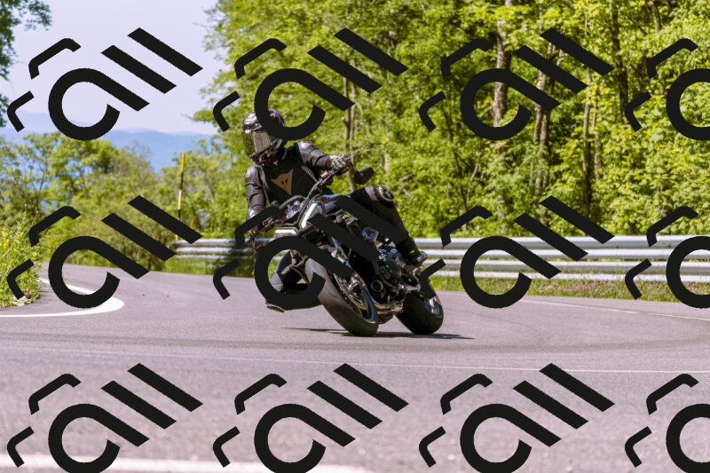 202506011046_DSC6325_d1_