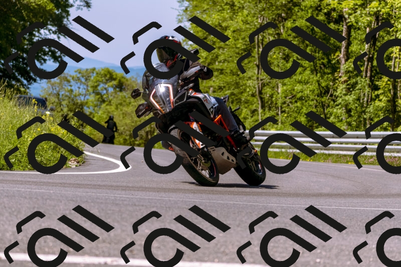 202506011048_DSC6349_d1_