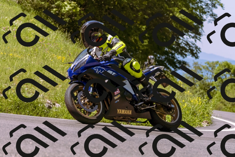 202506011048_DSC6361_d1_