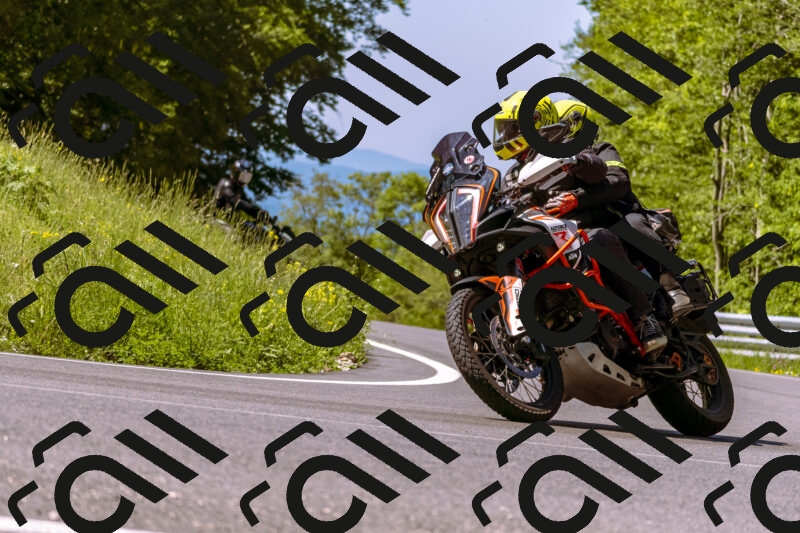 202506011048_DSC6362_d1_