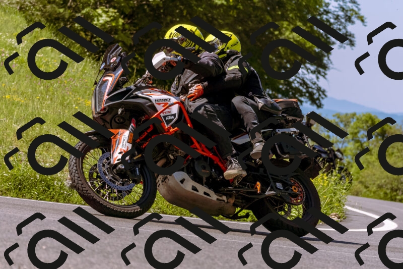 202506011048_DSC6363_d1_