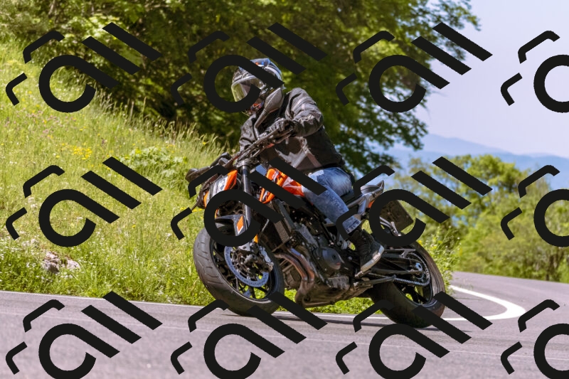 202506011050_DSC6383_d1_