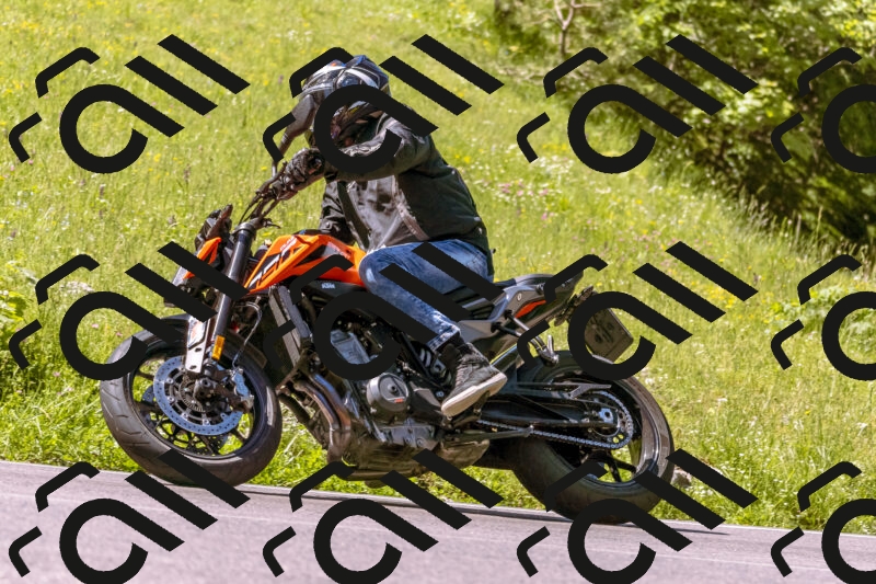 202506011050_DSC6384_d1_