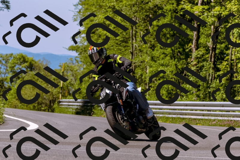 202506011050_DSC6386_d1_