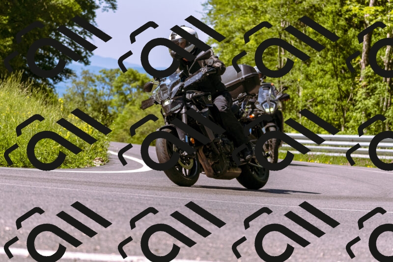 202506011050_DSC6390_d1_