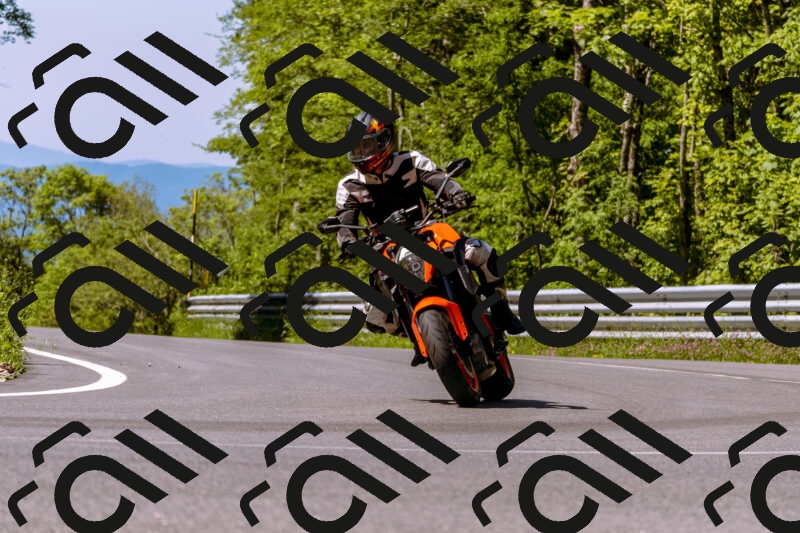 202506011054_DSC6419_d1_