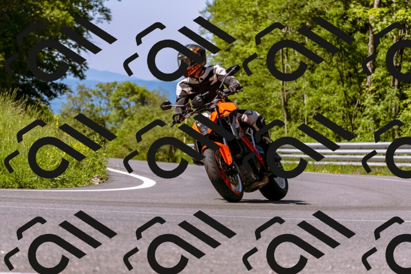 202506011054_DSC6420_d1_