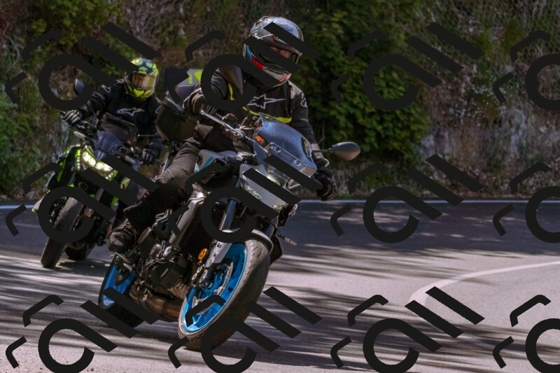 202506011056_DSC6452_d1_