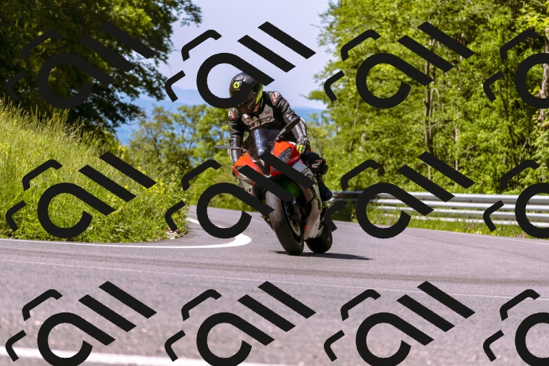 202506011059_DSC6466_d1_