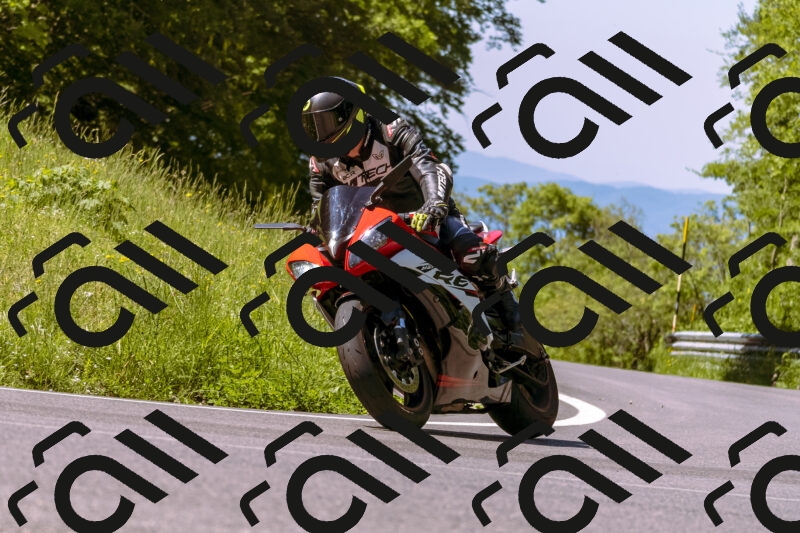 202506011059_DSC6467_d1_