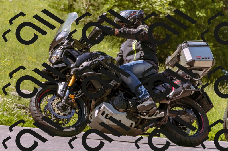 202506011104_DSC6510_d1_