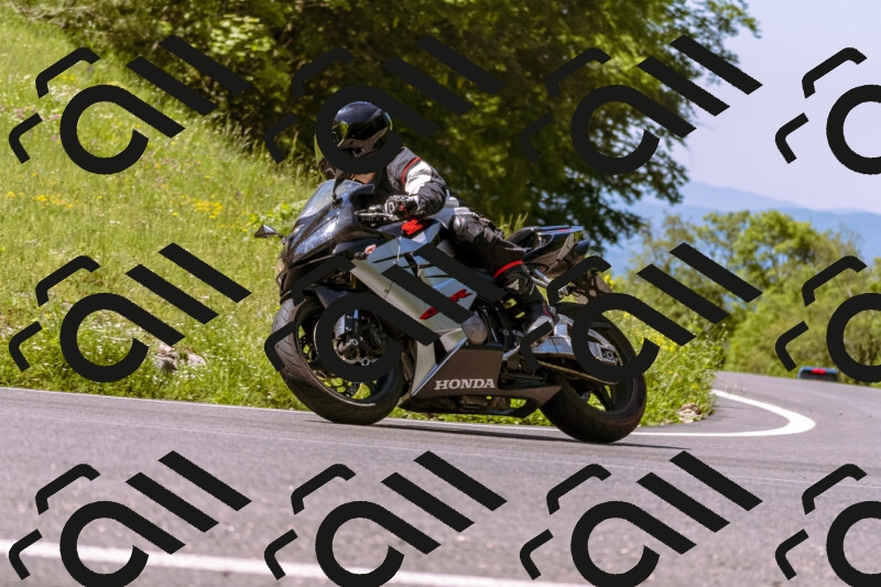 202506011105_DSC6516_d1_