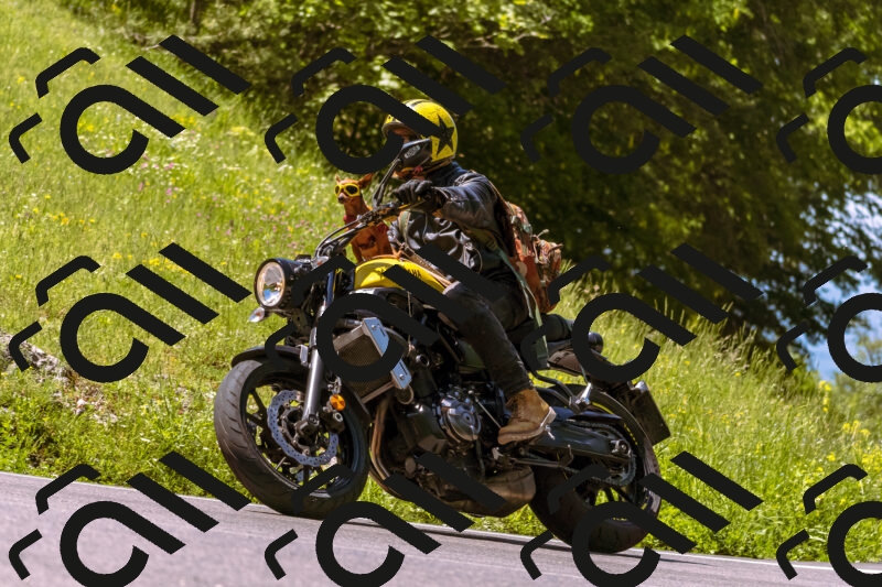 202506011120_DSC6679_d1_