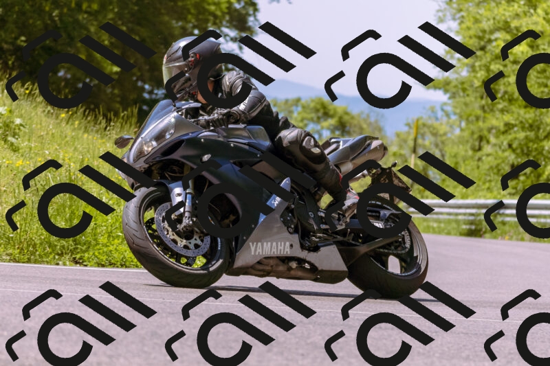 202506011137_DSC6791_d1_