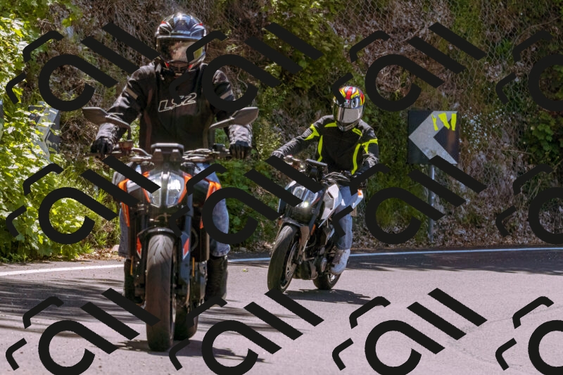 202506011146_DSC6818_d1_