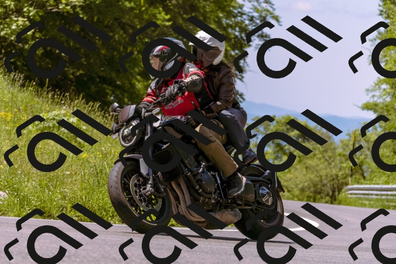 202506011147_DSC6819_d1_