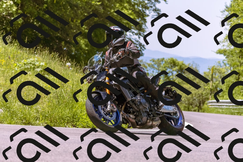 202506011148_DSC6827_d1_