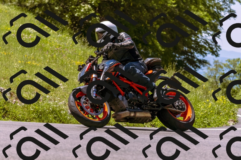 202506011148_DSC6829_d1_