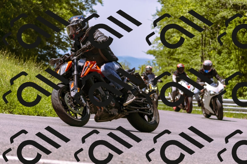 202506011148_DSC6833_d1_