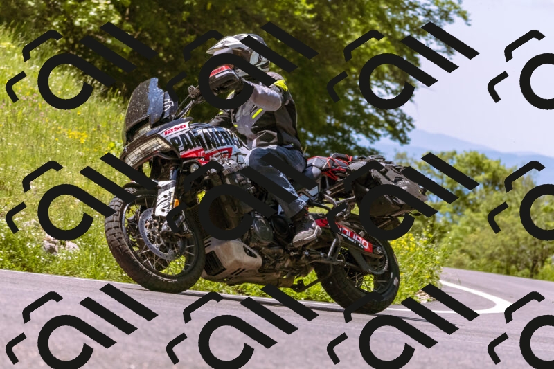 202506011149_DSC6846_d1_