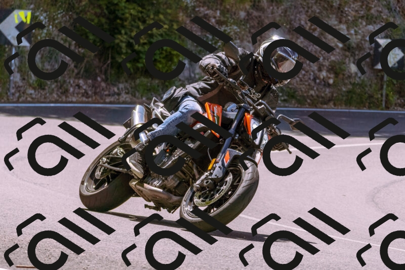 202506011151_DSC6862_d1_