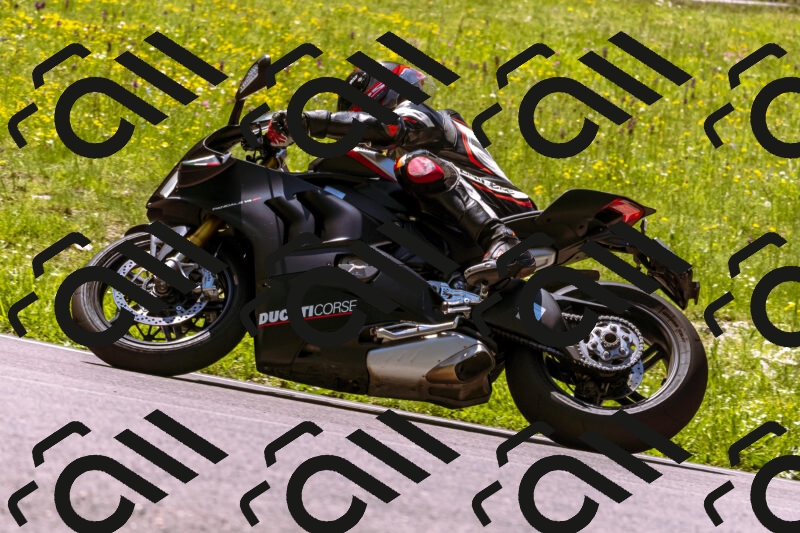 202506011153_DSC6894_d1_