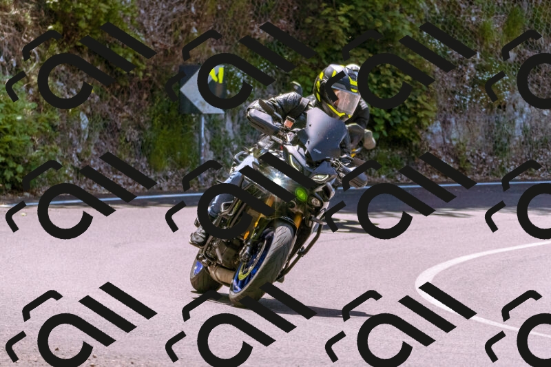 202506011158_DSC6904_d1_