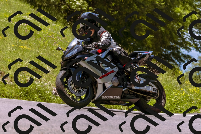 202506011207_DSC6939_d1_