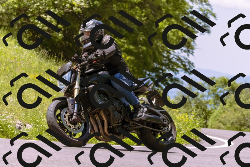 202506011208_DSC6943_d1_