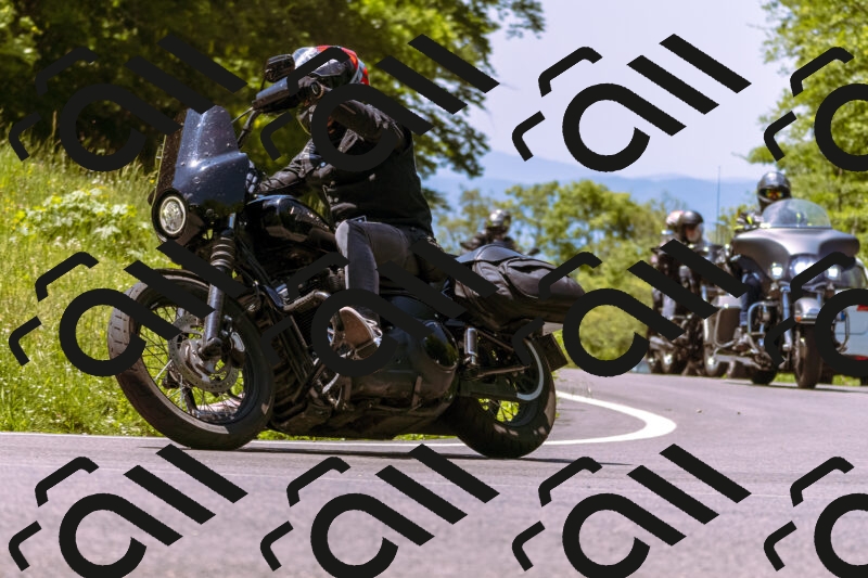 202506011210_DSC6950_d1_