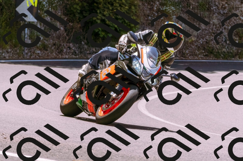 202506011219_DSC6978_d1_