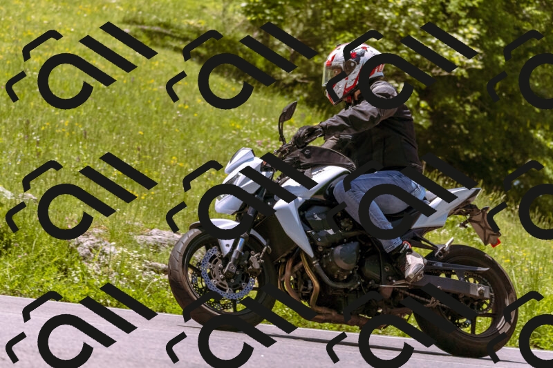 202506011223_DSC7009_d1_