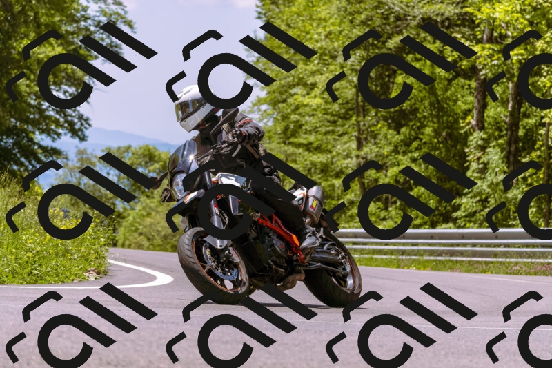 202506011224_DSC7011_d1_