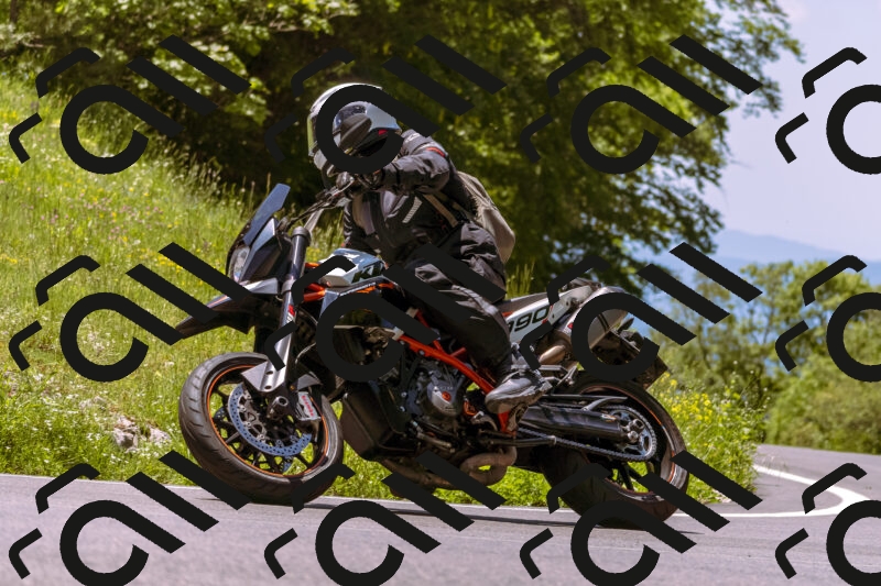 202506011224_DSC7012_d1_