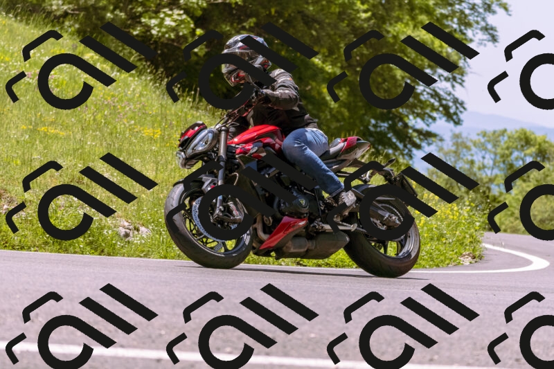 202506011224_DSC7014_d1_