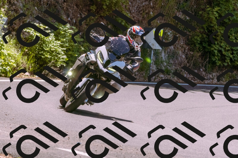 202506011224_DSC7021_d1_