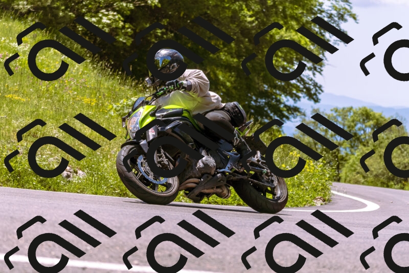 202506011226_DSC7040_d1_