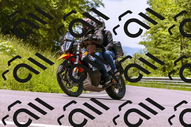 202506011228_DSC7048_d1_